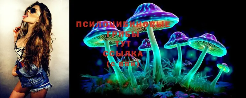 Псилоцибиновые грибы Psilocybe Тырныауз